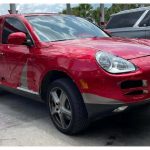 allagi xrwmatos cayenne