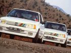 peugeot 205 genethlia