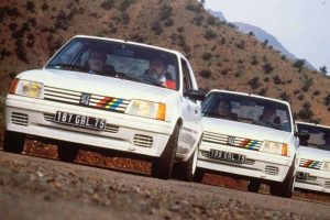 peugeot 205 rallye