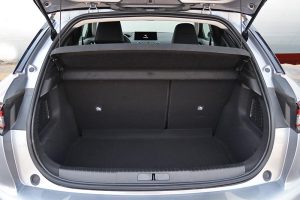 DS 3 1.5 BlueHDi 130 (14)