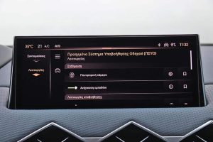 DS 3 1.5 BlueHDi 130 (22)