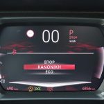 DS 3 1.5 BlueHDi 130 (24)