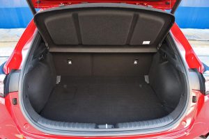 Kia XCeed 1.5 160 PS 2023 (21)