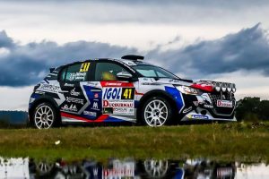 Peugeot 208-Rally-1