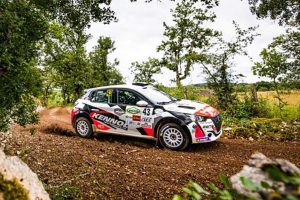Peugeot-208-Rally-4