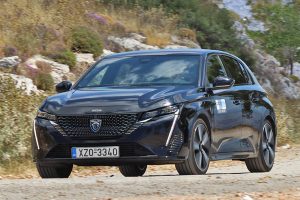 Peugeot 308 1.5 Blue HDi 130 (10)