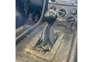 386467099_831314478786554_5941473930568423276_n