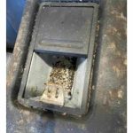 387811701_831314445453224_3714777947522037473_n