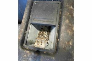 387811701_831314445453224_3714777947522037473_n