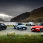 dimofilestera xrwmata