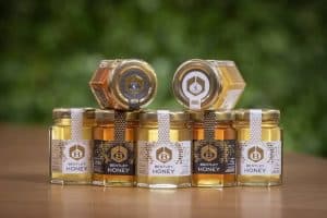 2023-Bentley-Honey-1-2048×1365