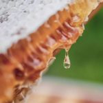 2023-Bentley-Honey-2-2048x1152