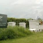 2023-Bentley-Honey-3-2048x1366