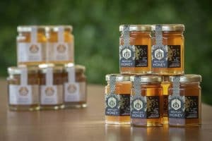 2023-Bentley-Honey-5-2048×1152