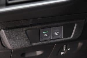 Dacia-Sandero-Stepway-LPG-Extreme-(20)