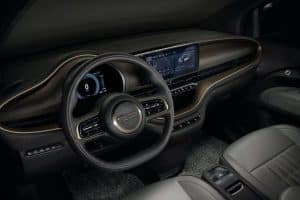 Fiat-500e-Concepts-1128-3 (1)