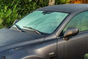 timandrew_CDN-0042-scaled