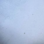 CTOC-2024-Tesla-Cybertruck-rust-1-scaled