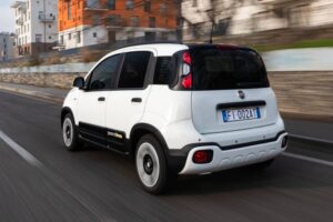 FiatPandina (1) (1)