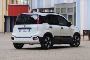 FiatPandina (4) (1)