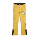 Puma-Porsche-911-Turbo-19