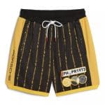 Puma-Porsche-911-Turbo-23