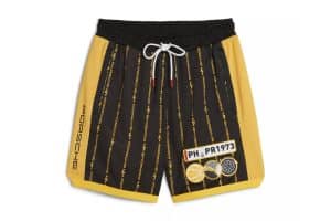 Puma-Porsche-911-Turbo-23