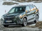 Subaru-Forester_2022