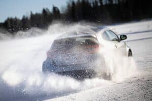 gryaris2024-8799 (1)