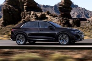 2025-Audi-Q8-TFSI-e-quattro-423-6