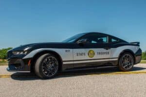 GLdxjvDa4AARC6K_format=jpg&name=large