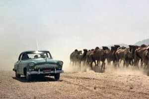 Vladimir_Putin_auta_2021_04