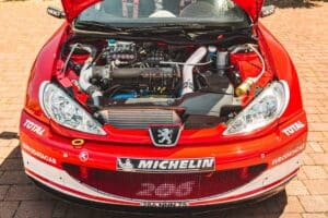 480985352_965573339067257_4377014808636303565_n