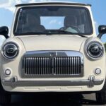 this-questionable-surprise-costs-2500-and-wants-to (3)