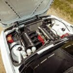 447292391_1002701164577664_4988388302075529497_n