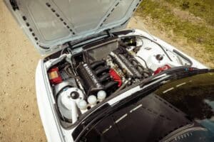 447292391_1002701164577664_4988388302075529497_n