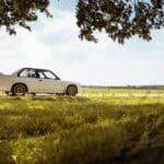 447717369_1002701111244336_506963311186104125_n