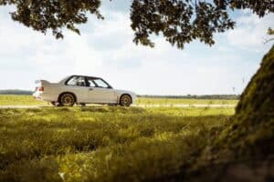 447717369_1002701111244336_506963311186104125_n