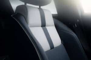 Alpine-A290-00037-2048×1399