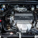 DSC_-3003-20026-scaled