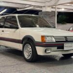 Peugeot-205-GTI-1988-(1)