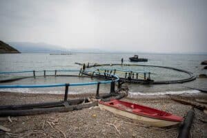 hyundai-healthy-seas-greece-0624-surface-ck-03