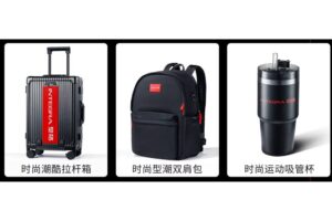 Honda-Integra-Anniversary-Special-Limited-Edition- (4)