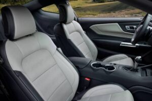 2025-Ford-Mustang-60th-Anniversary-3