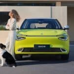 667d6f86be14965dc35eb6e0_Dongfeng_Box_Dog-p-2000