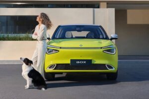 667d6f86be14965dc35eb6e0_Dongfeng_Box_Dog-p-2000