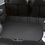 Dacia-Spring-Cargo-(2)