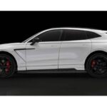 aston-martin-dbx-visits-wald-internationals-tuning (7)