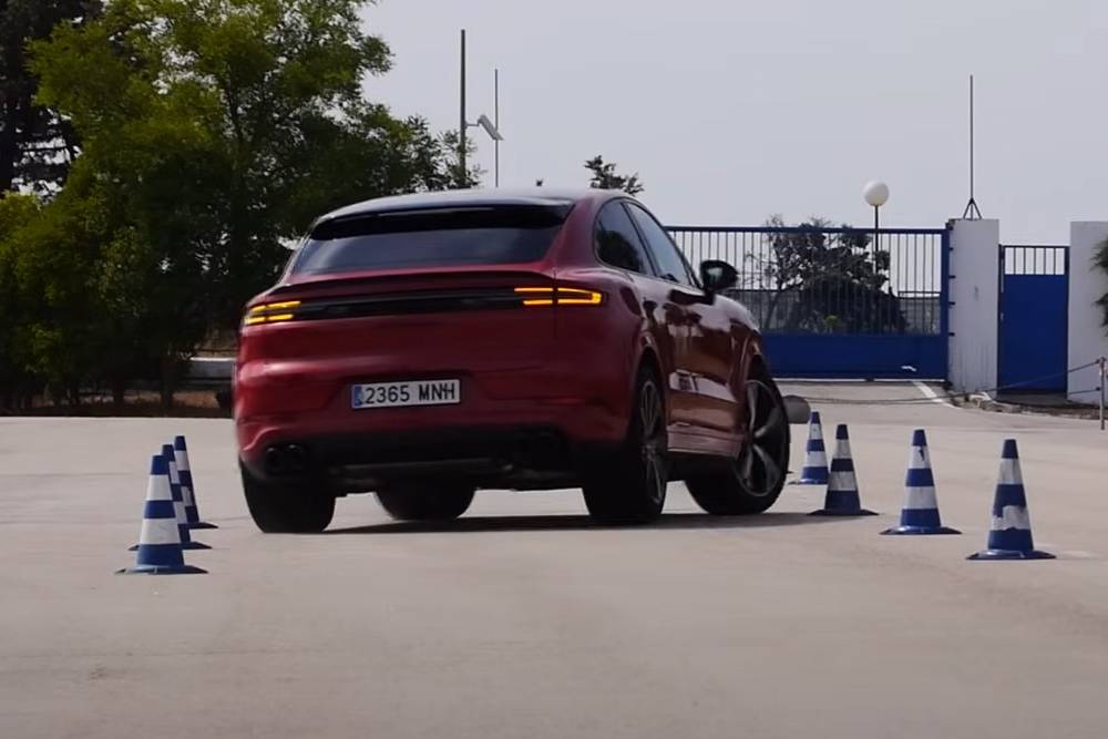 Αίλουρος η Porsche Cayenne στον τάρανδο (+video)