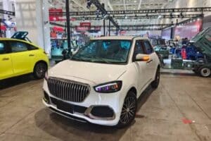 China-Rolls-Maybach-5